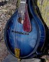 Q95Bluey2.jpg