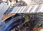 Q95Bluey4.jpg