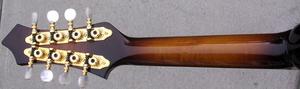 R200Neck.jpg