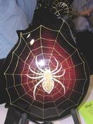 Spider_Back.jpg