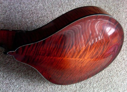 LSmart10_back2.jpg