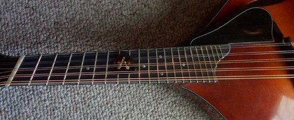 LSmart10_fretboard.jpg