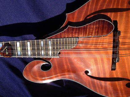 SXS_PickGuard.jpg