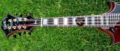 CJM Fretboard