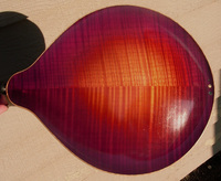 Condino_ABBack.jpg