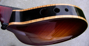 Condino_ABTopSide.jpg