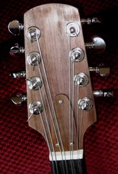 Gypsy's Headstock Face