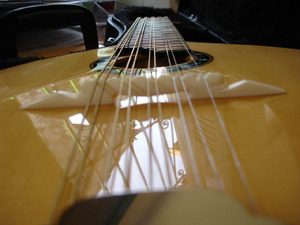 Ribeiro_H3.jpg