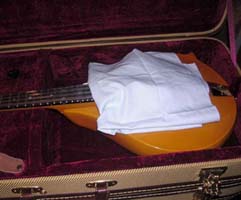 SWCloth_case.jpg