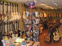AVM Guitars