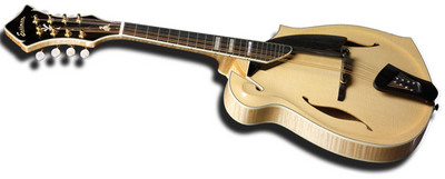 Click for closeup: DGM1 Mandolin from the 'Dawg Collection by Eastman'