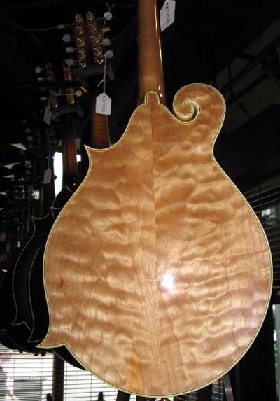 Blonde Gibson F5L back
