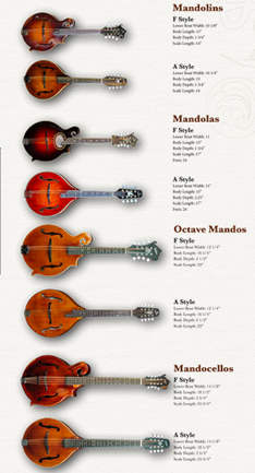 Mandolin vs. Mandola vs. Octave Mandolin 